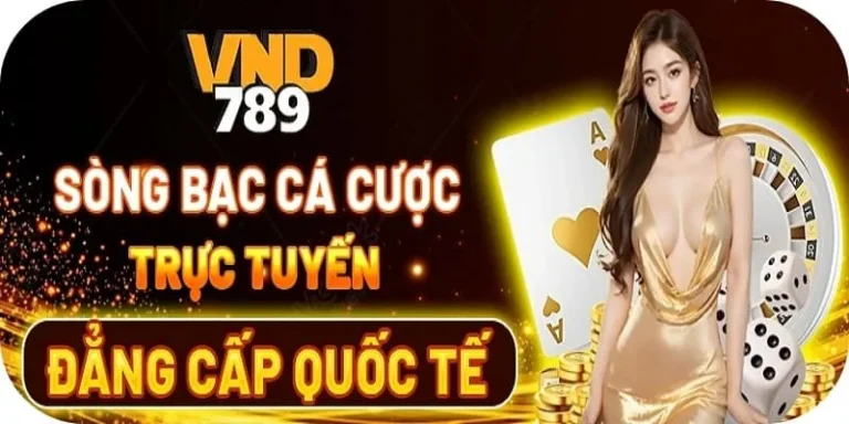 vnd789s đăng ký